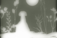 © Julia Schmölzer, Fotogramm