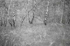 © Julia Schmölzer, Handabzug
