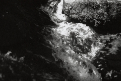 © Julia Schmölzer, Handabzug