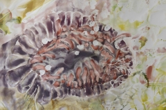 © Julia Schmölzer, Aquarell auf Archespapier