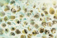 © Julia Schmölzer, Aquarell auf Archespapier